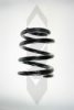 SPIDAN 56464 Coil Spring